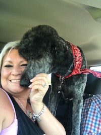 a woman with a black poodle in the back seat of a car