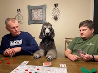 three men and a dog playing a game of monopoly