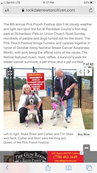 a woman and two dogs are standing in front of a fence