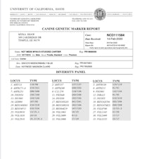 university of california california berkeley cannonball report