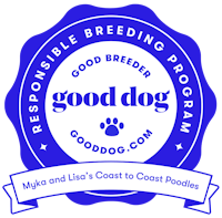 good dog responsible breeding program