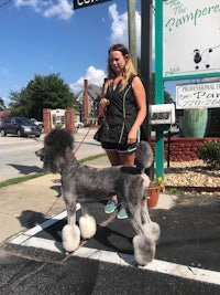 a woman with a grey poodle on a leash