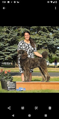a woman is standing next to a large poodle