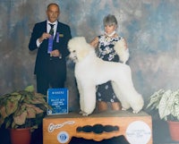 a man and woman posing with a white poodle