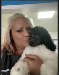 a woman is holding a black and white poodle