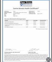 a certificate for a canine genetic health certificate