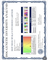 a certificate for a doc diversity analysis